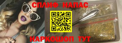 альфа пвп Заводоуковск