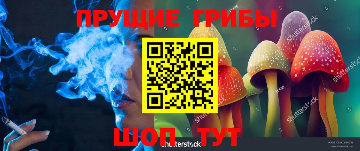 Галлюциногенные грибы мицелий  Псилоцибиновые грибы Psilocybe  где купить наркоту  Кыштым  Вход с VPN 