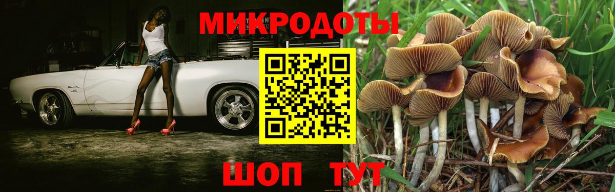 Псилоцибиновые грибы MAGIC MUSHROOMS Кыштым